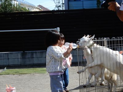 10月11日　ふれあい動物園