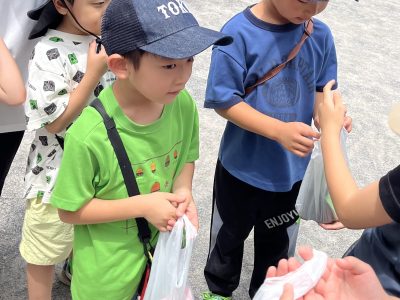 ６月１２日　朝顔、ありがとう。