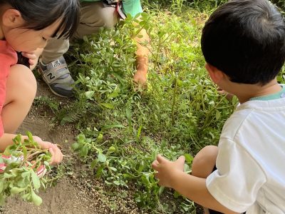 8月18日　お盆休みを終えて